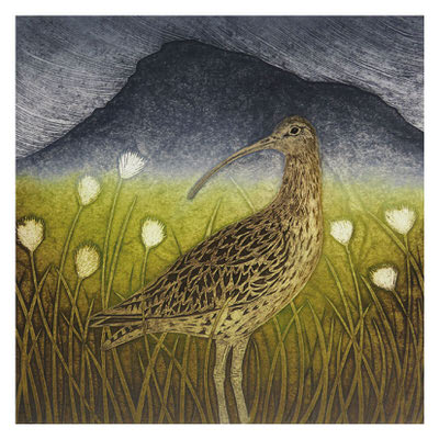 Illustration of a long-billed bird standing among tall grasses and white flowers with a mountain in the background.