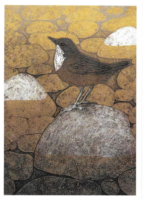 Brown bird with white throat standing on a large rock among other stones and a golden background.