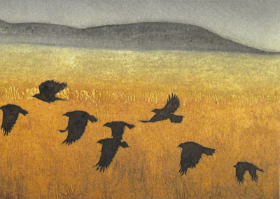 Seven black birds flying low over a yellow field with hills and cloudy sky in background.