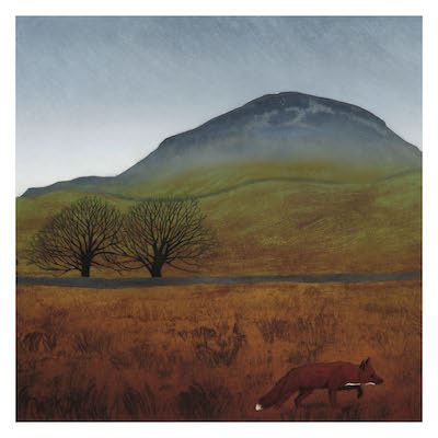 Red fox walking in a brown field with bare trees and a large hill in the background under a gray sky.