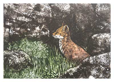 Brown fox sitting alert among rocks and green grass.