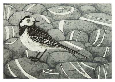 Black and white drawing of a bird standing on striped oval stones.