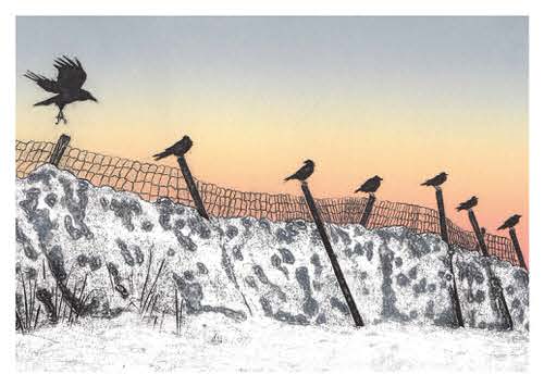 Sentinels