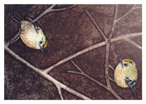 Gold Crests