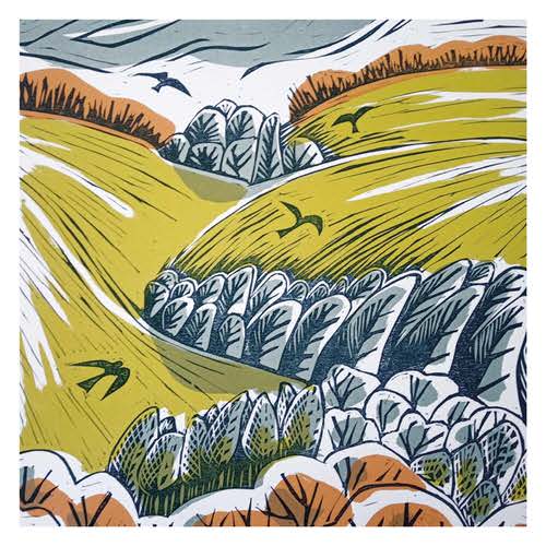 Exmoor Wooded Coombe