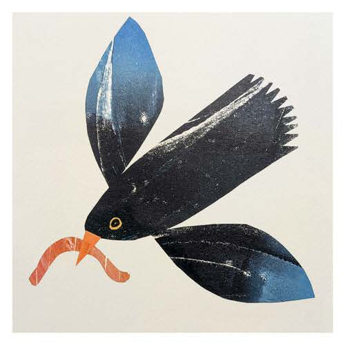 Blackbird
