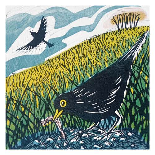 Blackbird