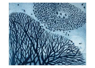 Large flock of birds forming a spiral above leafless trees against a blue sky.