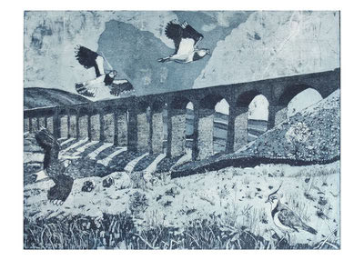 Stone aqueduct with arches over a grassy field where birds and ducks are present, some flying.
