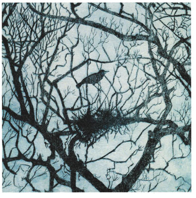 Silhouette of a bird perched on a branch with a nest among bare tree branches against a cloudy sky.
