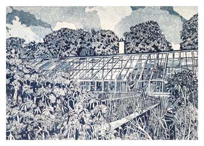Black-and-white illustration of a large greenhouse surrounded by dense plants and trees.