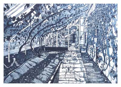 Black and white drawing of a greenhouse interior with plants and a paved walkway.