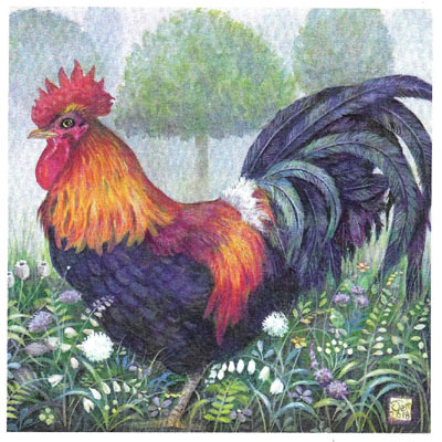 Colorful rooster standing in grass and wildflowers with trees blurred in background.