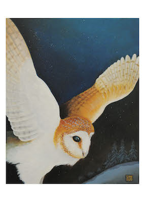 Painting of a barn owl with outstretched wings flying at night against a dark blue sky.