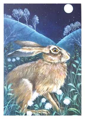 Brown rabbit with large eye sitting among grass and flowers under a full moon in a starry night sky.