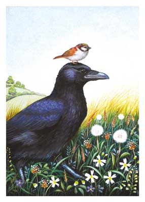 A small brown bird perched on a large black crow standing amidst wildflowers in a grassy field.