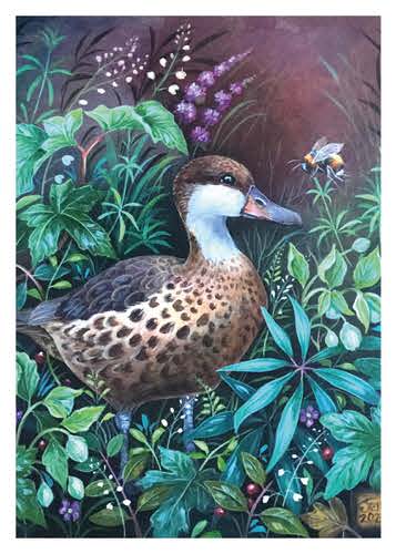 The duck & the bee