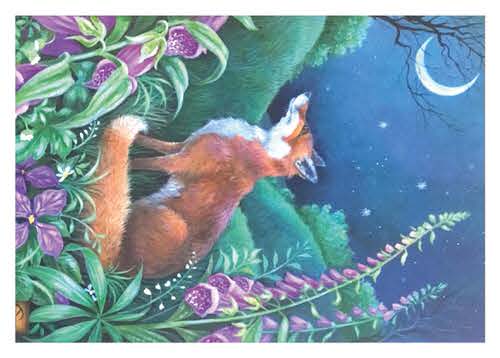 Foxy, Foxy!