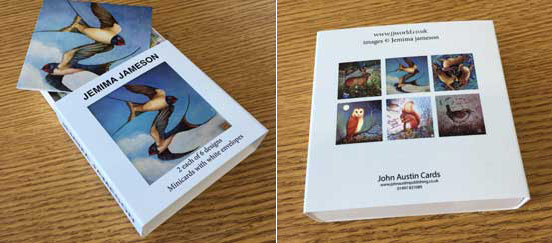 Two images of a box of Jemima Jameson note cards featuring bird illustrations on a wooden surface.