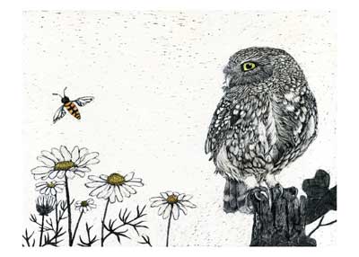 Black-and-white owl perched on a tree stump near daisies and a hovering bee on a white background.