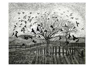Black and white drawing of two trees with many birds flying around and perched on branches near a fence.