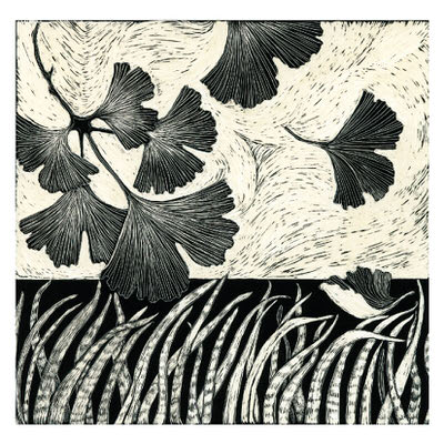 Black and white illustration of ginkgo leaves above textured grass against a patterned background.