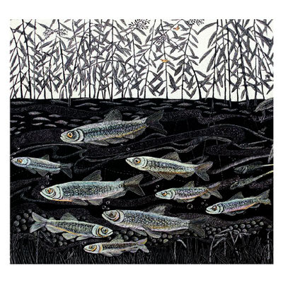 Illustration of a school of fish swimming underwater beneath tall, thin plants.