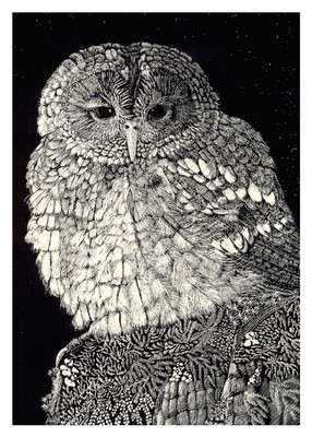 Black and white detailed illustration of an owl perched on a textured branch at night.