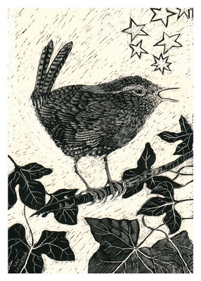 Black and white detailed drawing of a small bird singing on a leafy branch with stars above.