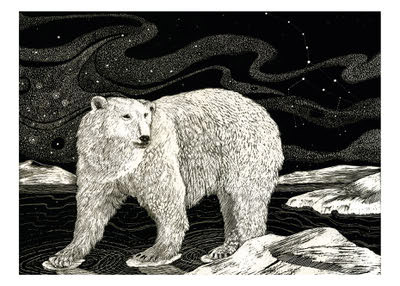 Illustration of a white bear walking on rocky terrain under a starry sky with visible constellations.
