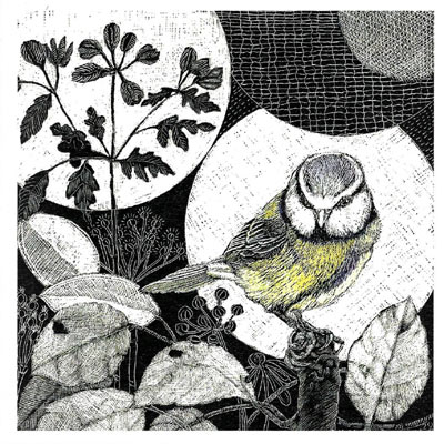 Detailed sketch of a small bird with yellow chest perched on a branch among leaves and plants.