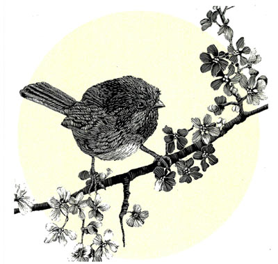 Black and white illustration of a small bird perched on a blossoming branch with a pale yellow circle behind.