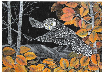 Spotted owl with wings spread flying among autumn orange leaves and birch trees at night.