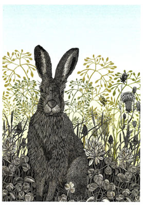 Hare in Clover with Seedheads