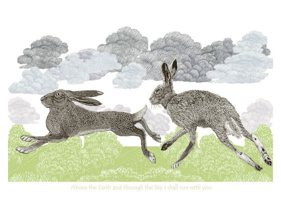 Hares Above the Earth