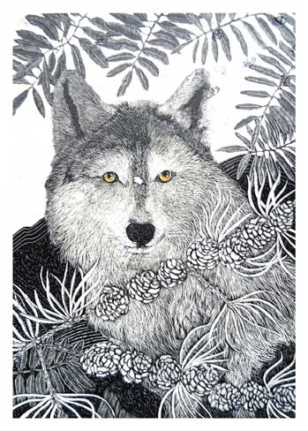 Wolf in larch boughs