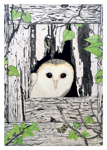 New Barn Owl Sees the World