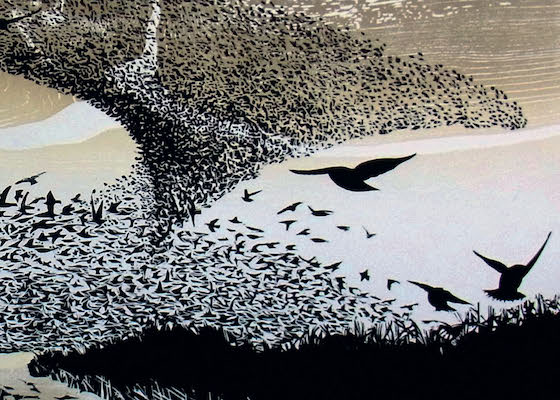 Silhouette of a large flock of birds forming the shape of a larger bird in flight.