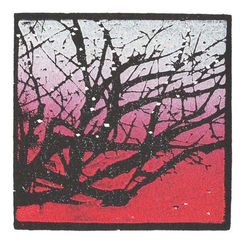 Winter Branches