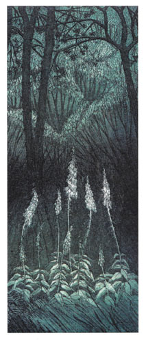 Tall white foxglove flowers in a dark forest with twisted tree branches forming an arch above.