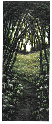 Path through arching trees leading to a meadow filled with white flowers under a bright sky.