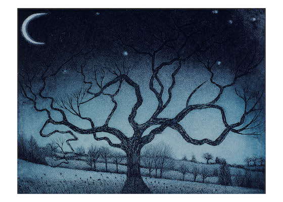 Bare twisted tree silhouette under crescent moon and stars in a dark, blue-hued night landscape.