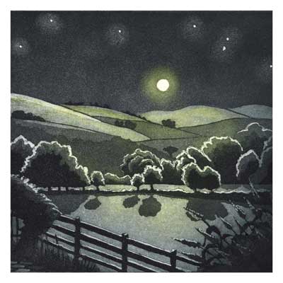 Moonlit rural landscape with rolling hills, silhouetted trees, and a wooden fence under a starry sky.