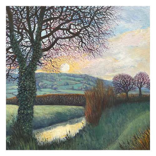 Twelve foot Rhyne Hearty moor Somerset