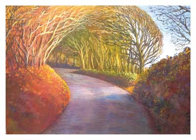 Curved road shaded by trees with autumn foliage on bushes and branches in soft light.