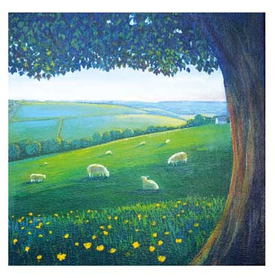 Sheep grazing on green hillside with yellow flowers under a large tree on a bright day.