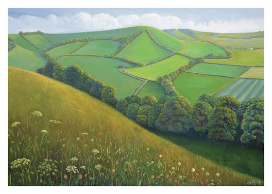 Lush green hills divided by hedgerows with wildflowers in the foreground under a cloudy sky.