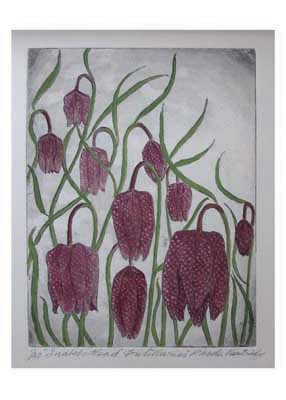 Artwork of purple checkered bell-shaped flowers with green stems on a gray background.