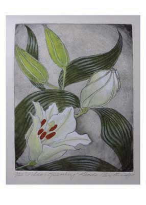 Artistic drawing of a white flower with red stamens, green leaves, and two unopened buds.
