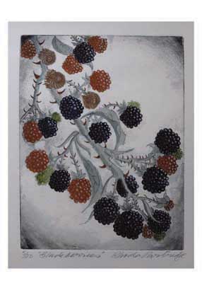 Illustration of a thorny branch with ripe black and unripe red berries on a gray background.